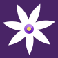 acidanthera