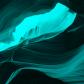 cyanfish