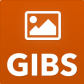 nasa-gibs