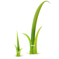 twigphp